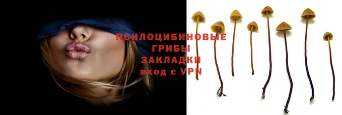 кокаин колумбия Алзамай