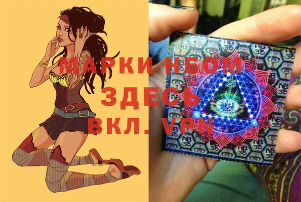 стаф Алексин