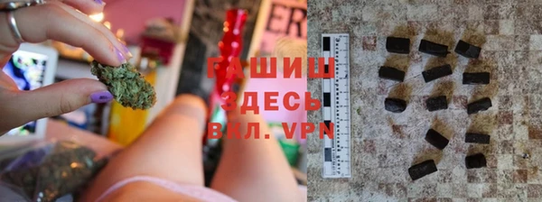 стаф Алексин