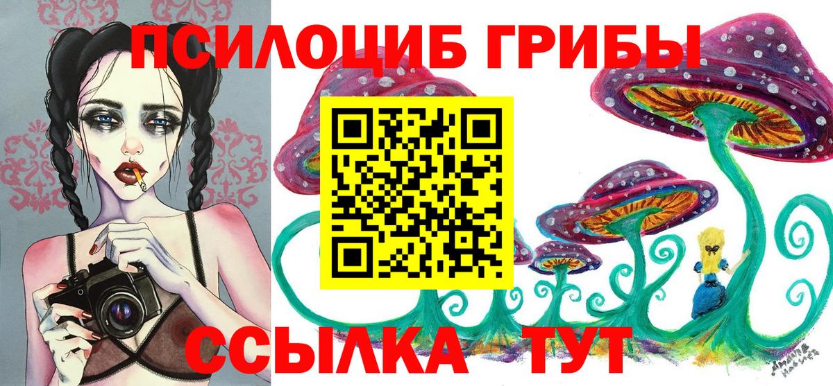 Псилоцибиновые грибы прущие грибы  Вход с VPN  Псилоцибиновые грибы Magic Shrooms  Сунжа 